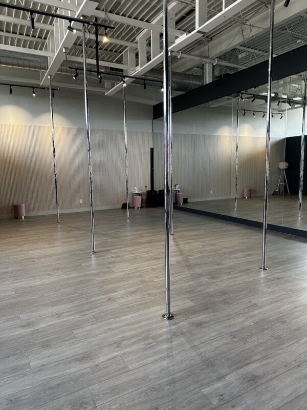 dancing geisha toronto west studio begin