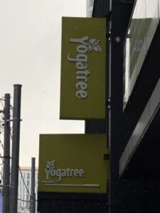 YogaTree Review Downtown Toronto