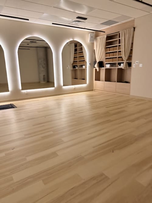 Ultra Pilates Review Regent Park - Best Heated Mat Pilates Toronto - Sassy Sweat Ontario