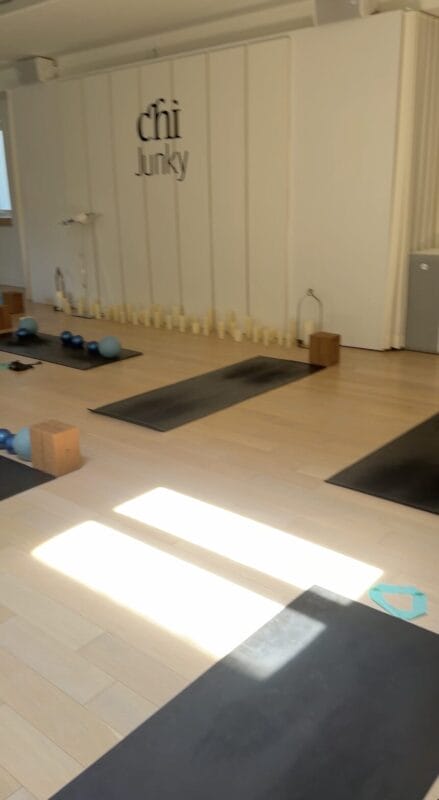 Chi Junky Yoga & Wellness Studio studio, Toronto