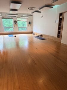 Blue Canoe Rosedale studio hot