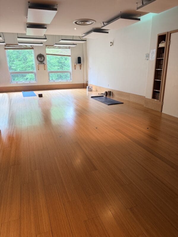 Blue Canoe Rosedale studio hot